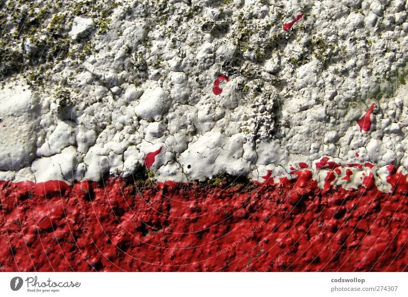anyone for tennis Mauer Wand Fassade rot weiß Strukturen & Formen Riss Farbfoto Detailaufnahme abstrakt Muster