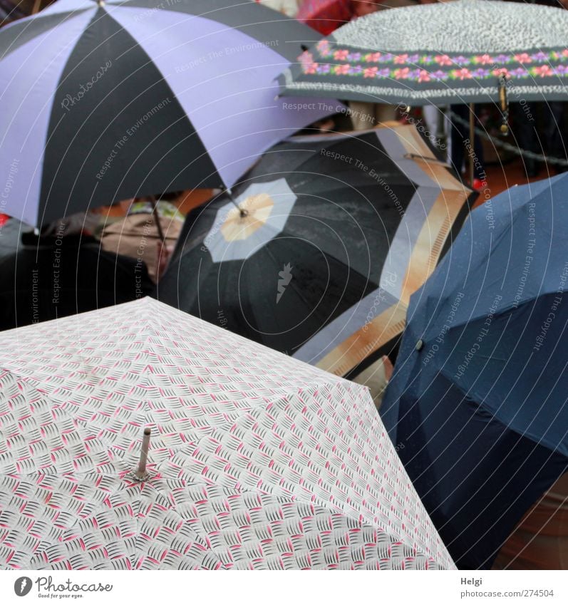 Schirmherrschaft... schlechtes Wetter Regen Regenschirm Kunststoff Muster berühren festhalten warten authentisch außergewöhnlich dunkel Zusammensein einzigartig