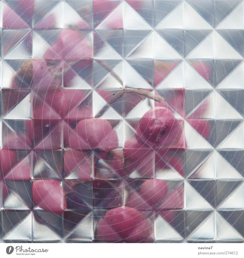 rosa Pfeffer exotisch silber Geometrie Kaleidoskop Farbfoto Innenaufnahme Detailaufnahme Muster Menschenleer Textfreiraum oben