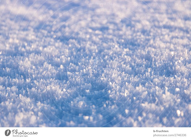 Schnee, Schneekristalle Winter Eis Frost beobachten entdecken glänzend frei frisch kalt schön blau ruhig Makroaufnahme bodennah Kristallstrukturen Schneedecke