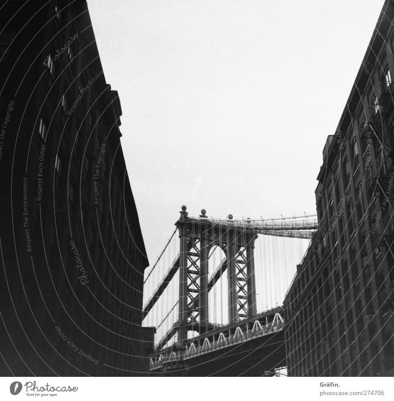 Dumbo Ferien & Urlaub & Reisen Tourismus Ausflug Städtereise New York City Menschenleer Hochhaus Brücke Bauwerk Manhattan Bridge Stein Beton Metall alt