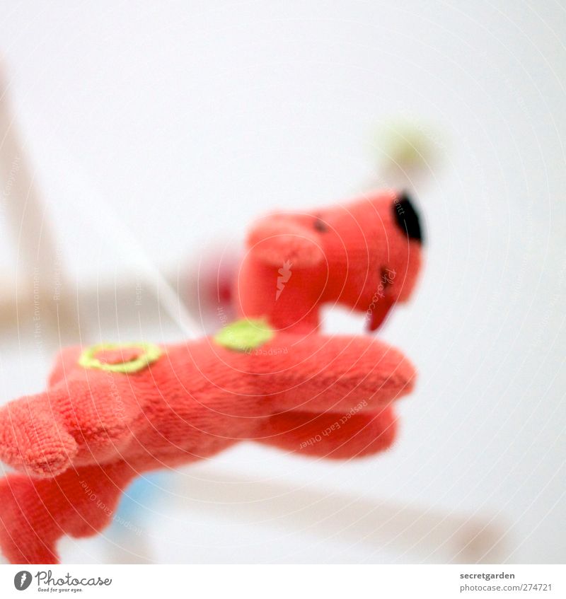 heute gibts fliegende frottée-hunde! Kinderspiel Häusliches Leben Wohnung Raum Tier Hund Spielzeug Stofftiere Dekoration & Verzierung hängen frei hell kuschlig