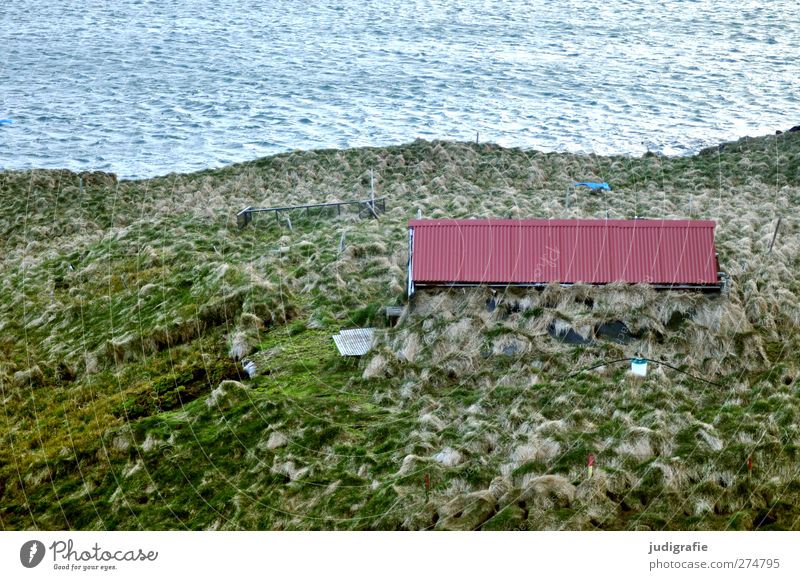 Island Umwelt Natur Landschaft Pflanze Wasser Gras Wiese Wellen Küste Fjord Haus Traumhaus Hütte Bauwerk Gebäude Dach Idylle ruhig Häusliches Leben Farbfoto