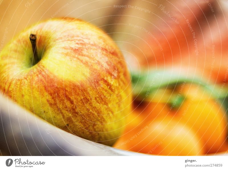 An Apple a Day Lebensmittel Gemüse Frucht Apfel Schalen & Schüsseln Gesundheit Wärme Korb Paprika Ernährung lecker Präsentation anbieten ködern frisch gelb