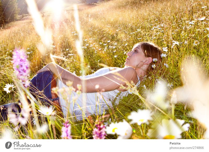 Alice Mädchen Jugendliche Blumenwiese liegen Wiesenblume Sonnenuntergang Sonnenstrahlen Gras verträumt träumen Abend Abenddämmerung Frühling Sommer Frau
