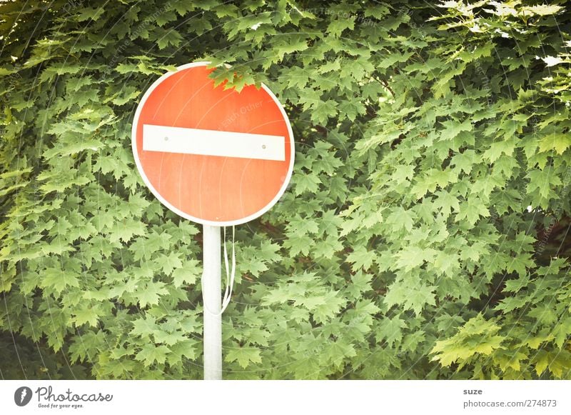 Rothschild Umwelt Natur Blatt Verkehr Zeichen Verkehrszeichen Wachstum grün rot Verbote Verkehrsschild Einbahnstraße Warnschild Verbotsschild graphisch