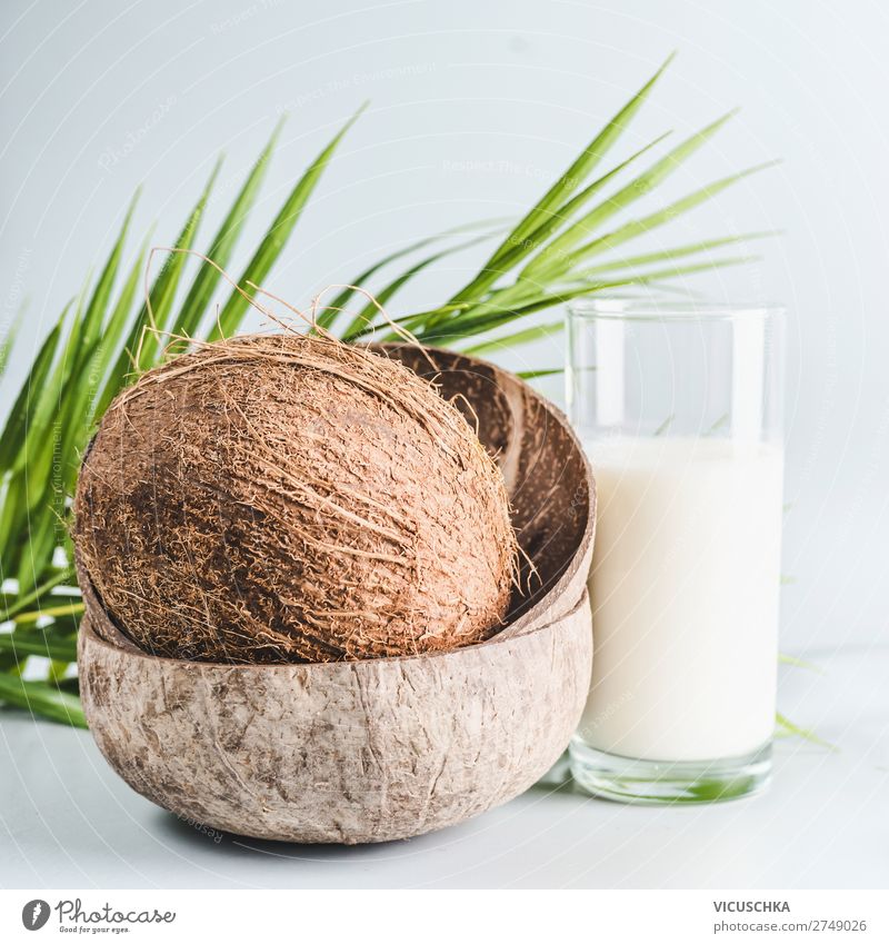 Kokosmilch im Glas mit ganzem Kokosnuss Lebensmittel Milcherzeugnisse Ernährung Bioprodukte Vegetarische Ernährung Diät Getränk Sommer Design Gesundheit Protein