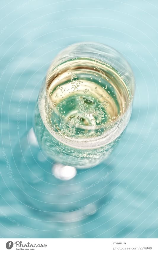 Hugo Getränk Erfrischungsgetränk Alkohol Sekt Prosecco Champagner Longdrink Cocktail Aperitif Sektglas Sommer trinken Feste & Feiern glänzend genießen trendy