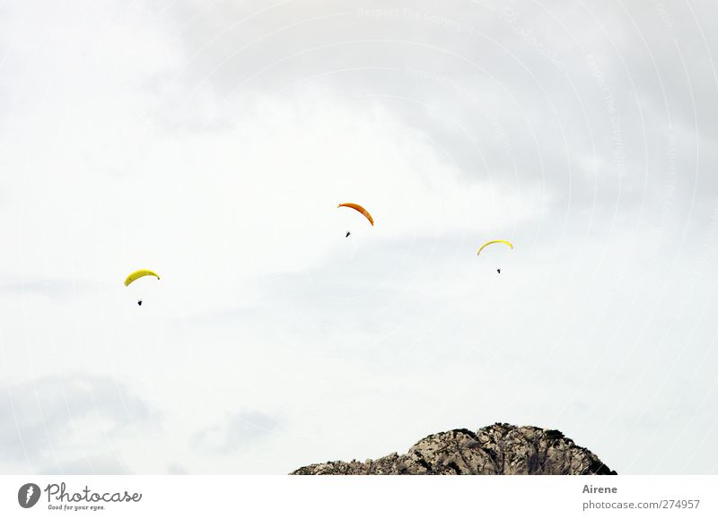 über dem Berg sein Freizeit & Hobby Freiheit Sport Gleitschirm Gleitschirmfliegen Mensch Erwachsene 3 Luft Himmel Wolken Alpen Berge u. Gebirge Gipfel Zeichen