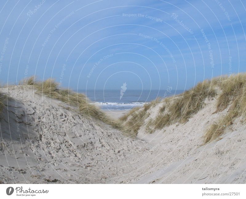 Stranddünen Dänemark Nordsee Sand