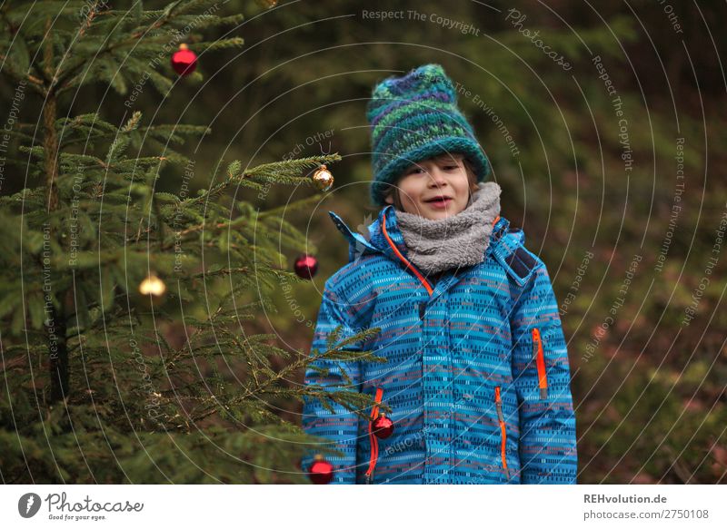 Kind steht an einem Weihnachtsbaum Feste & Feiern Weihnachten & Advent Silvester u. Neujahr Mensch maskulin Junge 1 8-13 Jahre Kindheit Umwelt Natur Winter Baum