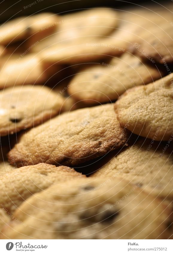 Kekse... Kekse so weit das Auge reicht! Lebensmittel Dessert Süßwaren Ernährung lecker süß gelb gold Völlerei gefräßig Hemmungslosigkeit cookie rund ungesund