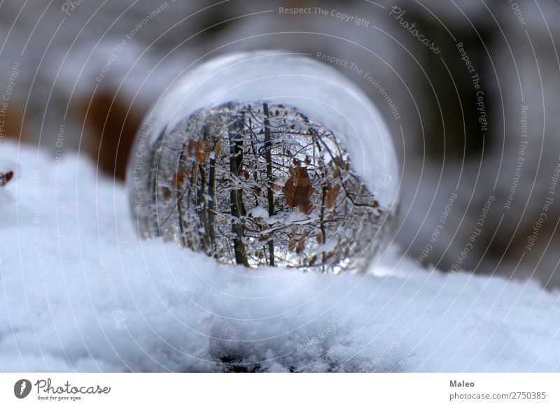 Glaskugel Herbst Hintergrundbild Kugel schön hell Feste & Feiern Weihnachten & Advent Farbe Kristallstrukturen Kristalle Tag Dekoration & Verzierung Umwelt Wald