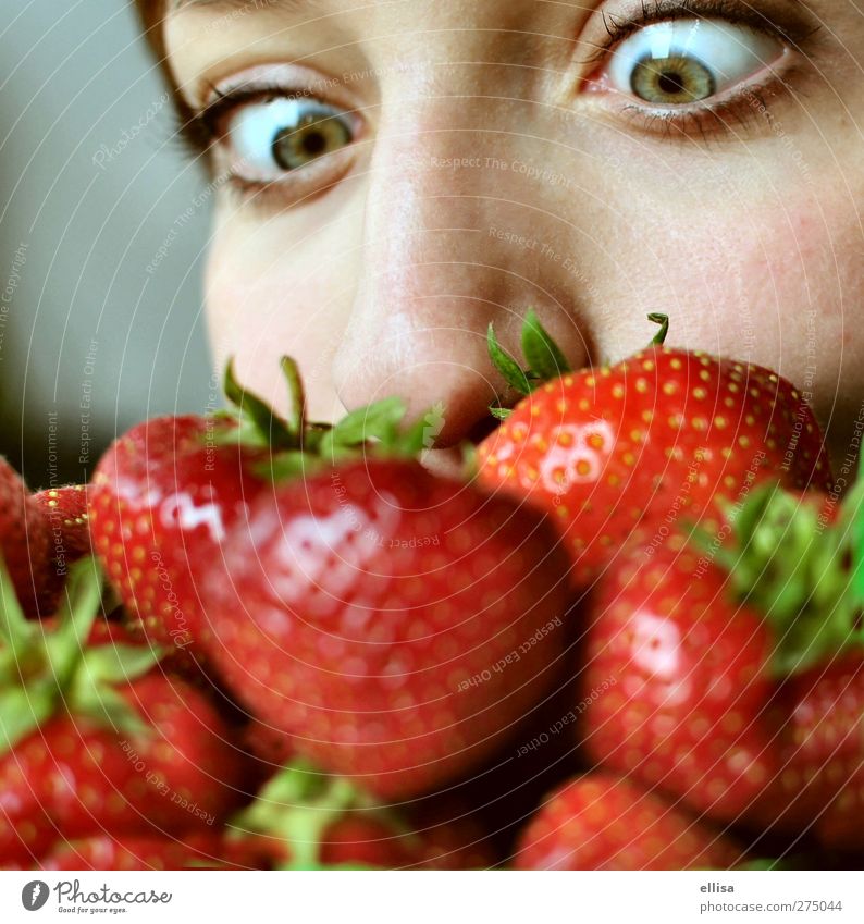 Erdbeerbart Frucht Essen Gesunde Ernährung feminin Junge Frau Jugendliche Auge Nase Fressen Neugier Erdbeeren Erdbeersorten grün rot Geruch Farbfoto