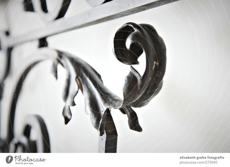 Schmiedeeisen Menschenleer Architektur Treppe Metall Stahl Ornament alt elegant historisch schwarz weiß ästhetisch Nostalgie Präzision Wert Treppengeländer
