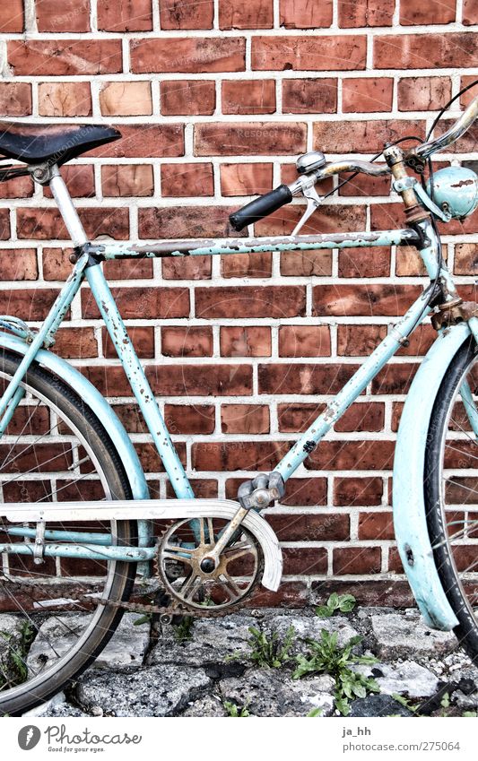 Fahrrad vor Backsteinwand fahren Rost Lack abgeplatzt old-school retro altehrwürdig Restauration Reparatur Klingel Sattel Bremse Fahrradkette Fahrradfahren