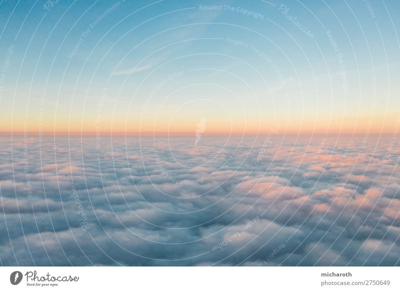 Über den Wolken I Abenteuer Freiheit Umwelt Himmel Sonnenaufgang Sonnenuntergang Klima Klimawandel Wetter Schönes Wetter Nebel Luftverkehr Cockpit