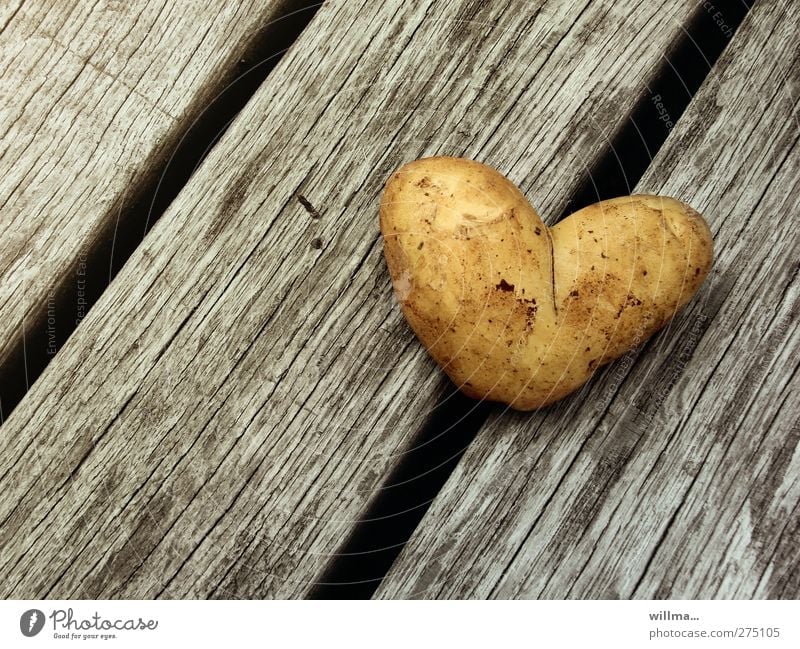 herzförmige Kartoffel - Kartoffelherz Herz Valentinstag Muttertag Geburtstag Verliebtheit Romantik Liebe Symbole & Metaphern herzlich Bioprodukte vegetarisch