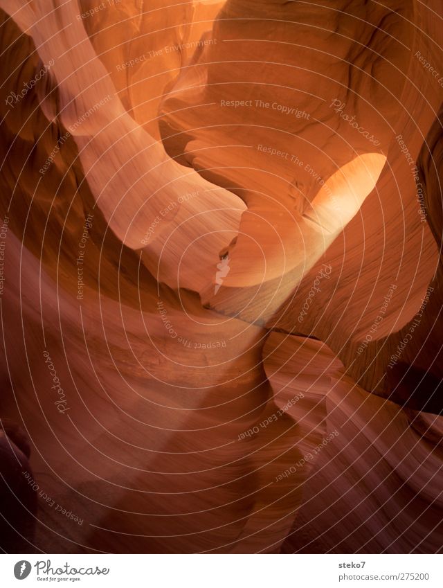 Licht im Tunnel Felsen Schlucht außergewöhnlich orange rot Warmherzigkeit Antelope Canyon Sandstein geschliffen rund Strukturen & Formen Lichtstrahl