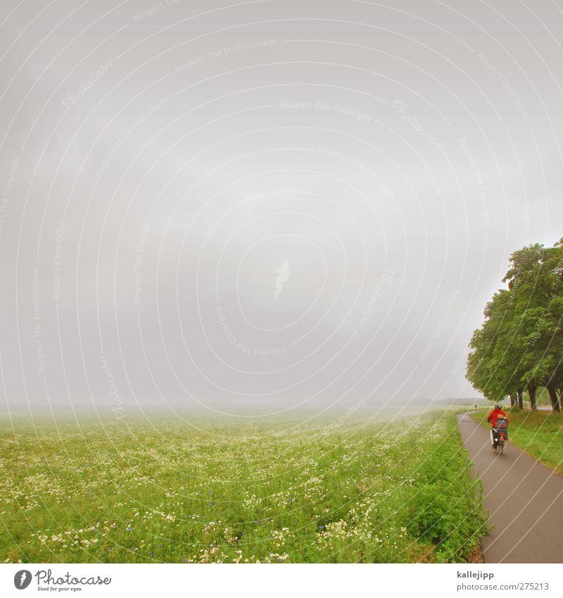 deutscher sommer Freizeit & Hobby Ferien & Urlaub & Reisen Ausflug Ferne Freiheit Fahrradtour Sommer Mensch 1 Umwelt Natur Landschaft Luft Wolken Regen Pflanze