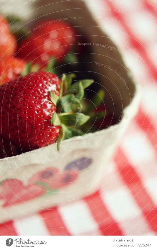 Mjam! Frucht Erdbeeren Ernährung Bioprodukte Vegetarische Ernährung Schalen & Schüsseln frisch Gesundheit lecker saftig rot kariert Tischwäsche aromatisch