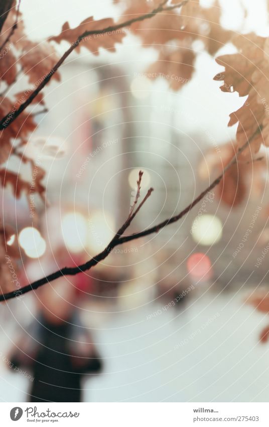 Vor einem kalten Winter Herbst Baum Eichenblatt Zweige u. Äste Stadt Haus Hochhaus Stadtleben Stadtlicht November trist Mensch Leuchtreklame Unschärfe