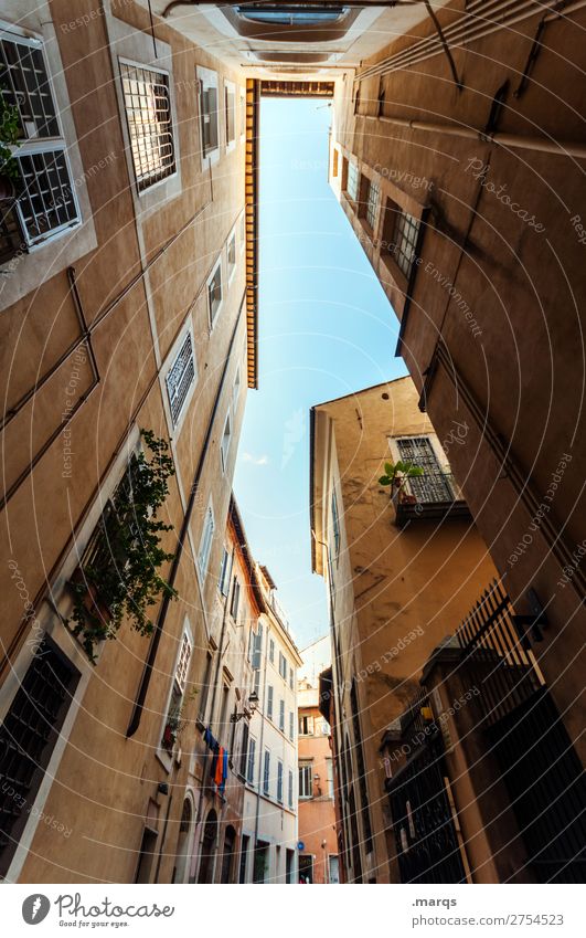 Gasse Ferien & Urlaub & Reisen Tourismus Sommer Wolkenloser Himmel Schönes Wetter Rom Italien Altstadt Haus Gebäude Architektur alt historisch Stimmung