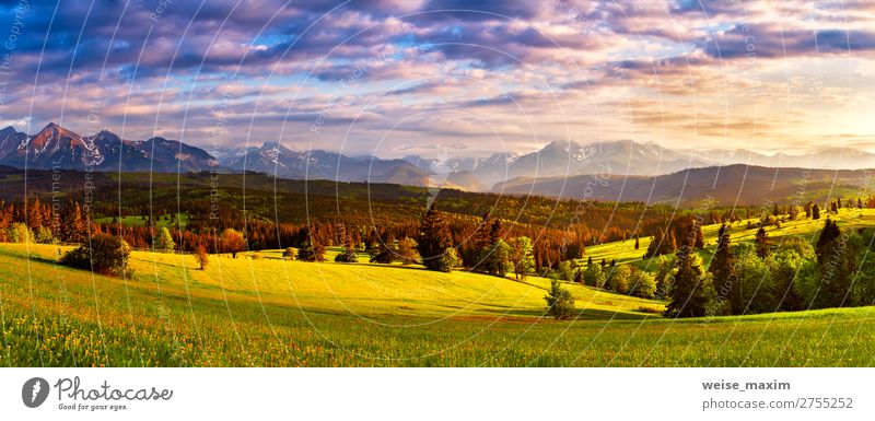 Panorama der Tatra-Berge. Schönes Tal und bewölkter Himmel schön Ferien & Urlaub & Reisen Tourismus Sommer Berge u. Gebirge Natur Landschaft Wolken