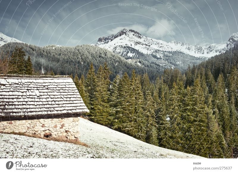 Berghütte Häusliches Leben Haus Umwelt Natur Landschaft Pflanze Urelemente Himmel Frühling Klima Schönes Wetter Schnee Wiese Wald Alpen Berge u. Gebirge Gipfel