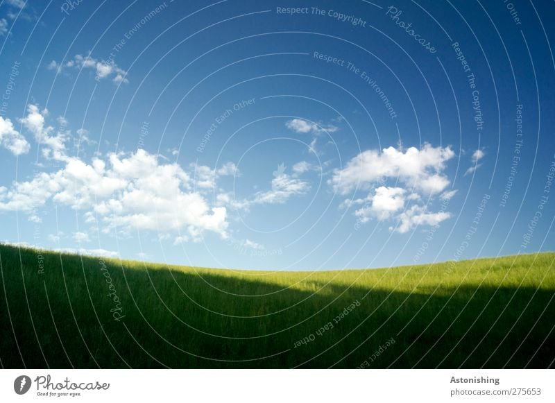 unspektakulär Umwelt Natur Landschaft Pflanze Himmel Wolken Sonnenlicht Sommer Wetter Schönes Wetter Wärme Gras Hügel blau mehrfarbig gelb grün weiß ruhig