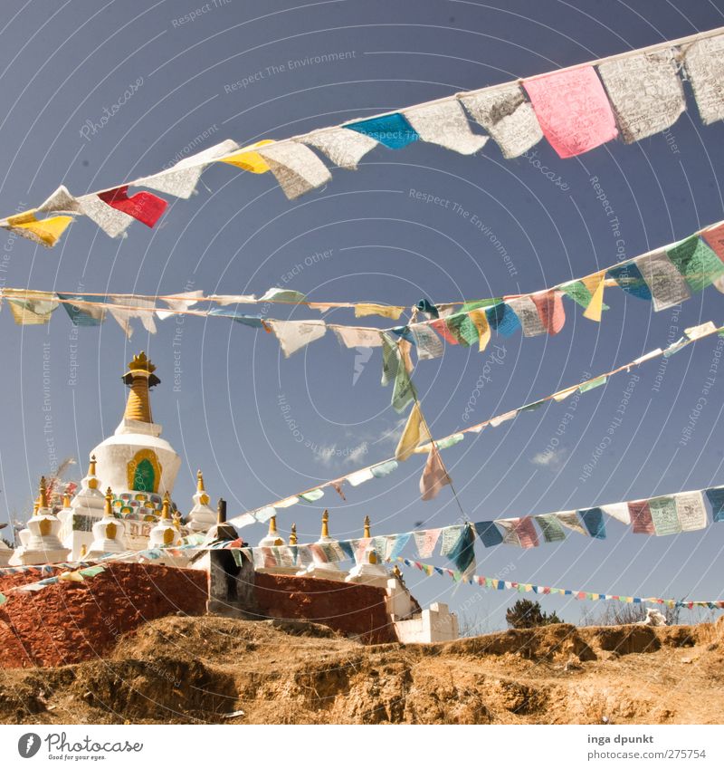 mit dem Wind China Yunnan Tempel Abenteuer Erholung Religion & Glaube Tourismus träumen Zufriedenheit Buddhismus Tibet Fahne Gebetsfahnen Farbfoto Außenaufnahme
