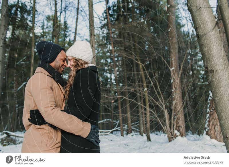 Paar posiert im Winterwald multiethnisch Stil warme Kleidung lässig Natur Wald Schnee Huckepack schön Person gemischter Abstammung schwarz Jugendliche