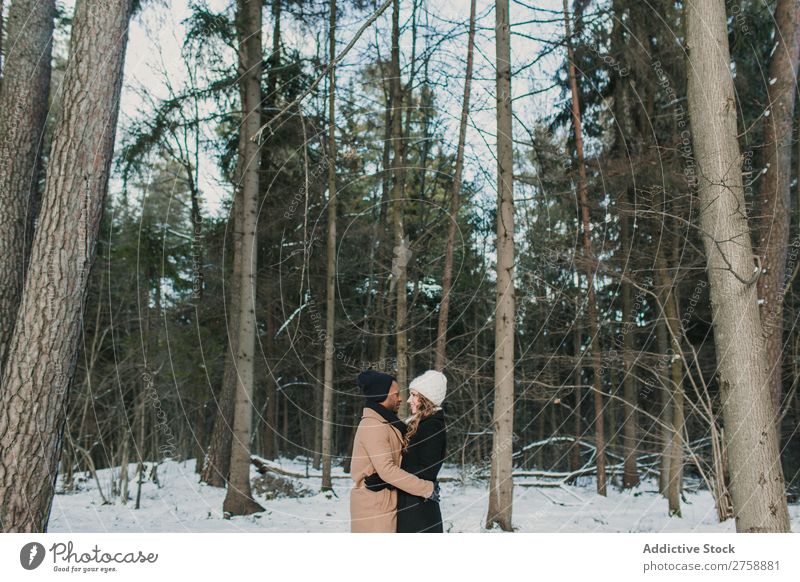 Paar posiert im Winterwald multiethnisch Stil warme Kleidung lässig Natur Wald Schnee Huckepack schön Person gemischter Abstammung schwarz Jugendliche