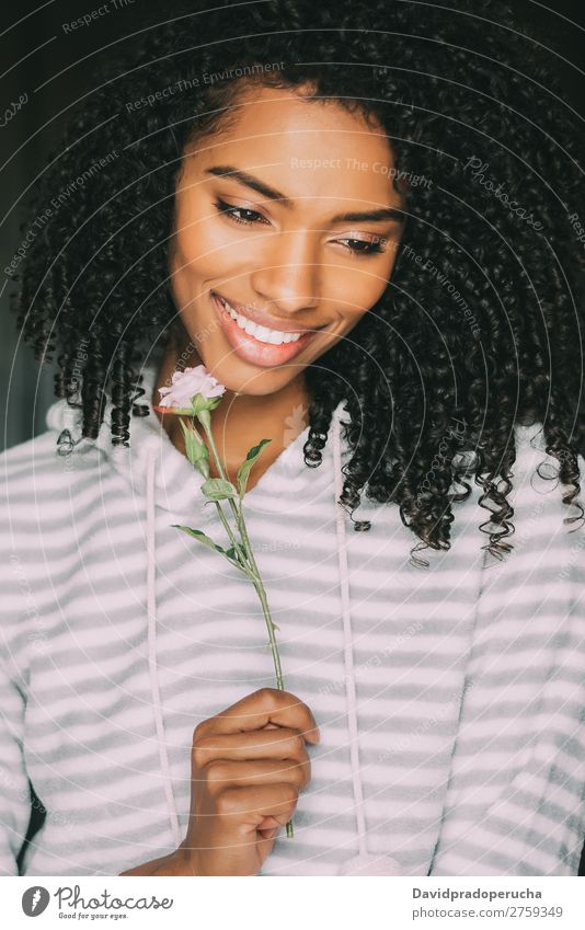 Nahaufnahme einer hübschen schwarzen Frau mit lockigem Haar, die mit einer Rosenblume lächelt, sitzt auf dem Bett und schaut weg. schwarze Frau Porträt lügen