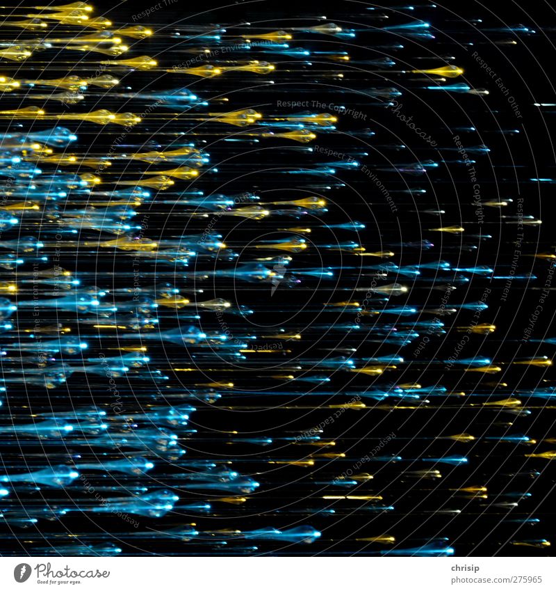 Viren auf der Flucht II Zeitmaschine Wissenschaften Fortschritt Zukunft Kunst Umwelt Stern Geschwindigkeit blau gold schwarz türkis Sternschnuppe