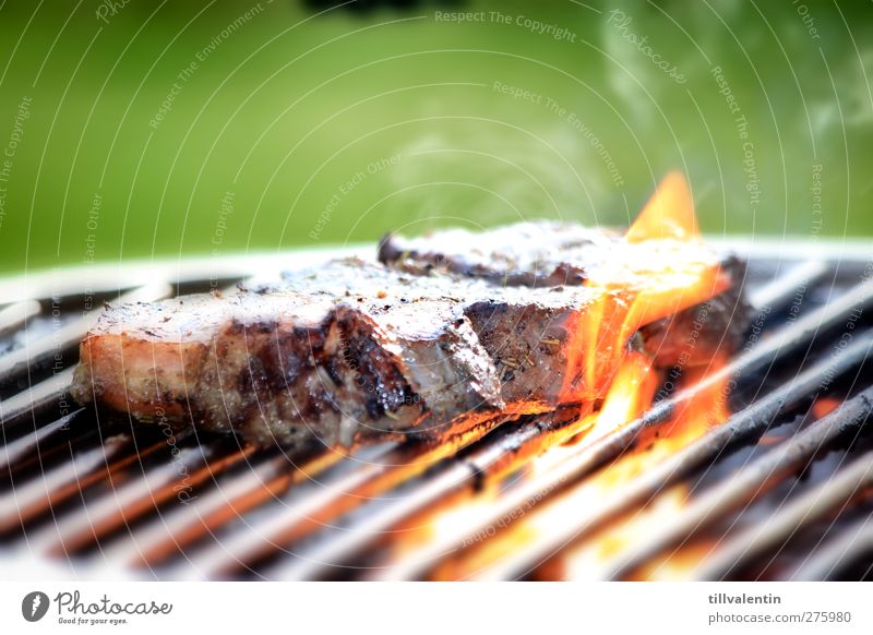 Gut gegrillt Fleisch Ernährung Fotografie Grillen Sommer grün Brand Rostfreier Stahl Feuer Flamme Wärme Rauch Steak Rindfleisch rot gelb lecker Sonne Fett