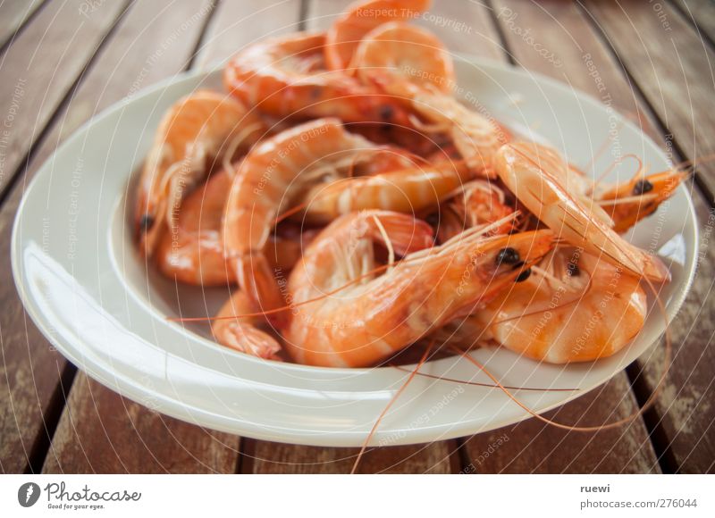 13,99 das Kilo Lebensmittel Meeresfrüchte Langustini Ernährung Delikatesse Teller Tier Totes Tier Languste einfach frisch Gesundheit orange rot weiß