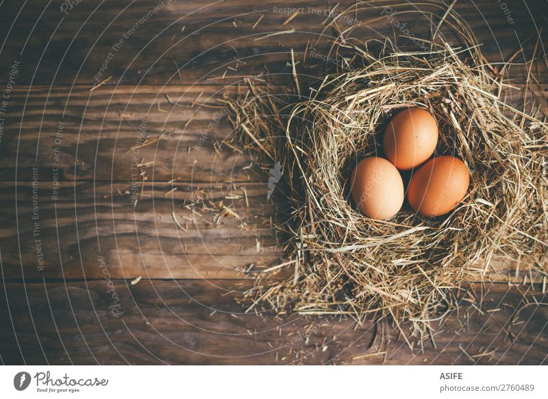 Frische Hühnereier im Nest auf rustikalem Hintergrund Ernährung Feste & Feiern Ostern Menschengruppe Gras Holz frisch oben braun Ei Pute Hähnchen Stroh Heu