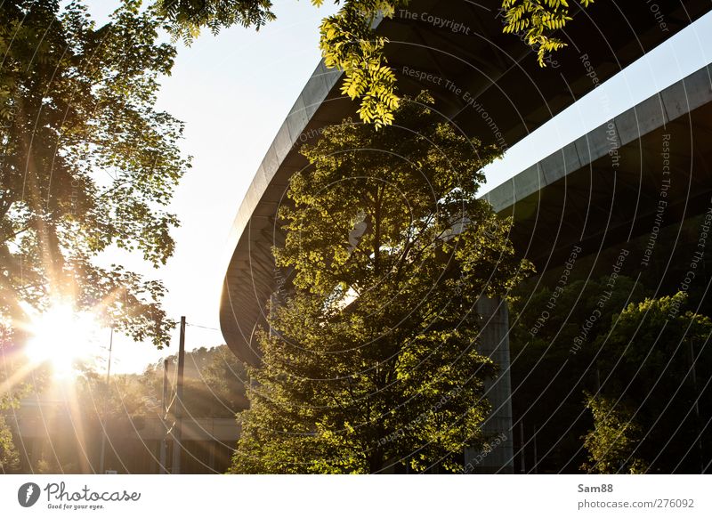 Unter der Brücke Umwelt Natur Landschaft Sommer Schönes Wetter Baum Stuttgart Stadt Bauwerk Architektur Verkehr Straßenverkehr Autozug heiß hell gelb grün