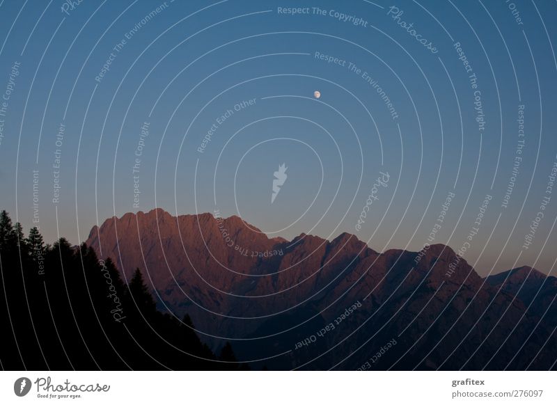 Lienzer Dolomiten im Abendrot Landschaft Himmel Wolkenloser Himmel Nachthimmel Mond Sommer Schönes Wetter Baum Wald Alpen Berge u. Gebirge Gipfel Stimmung