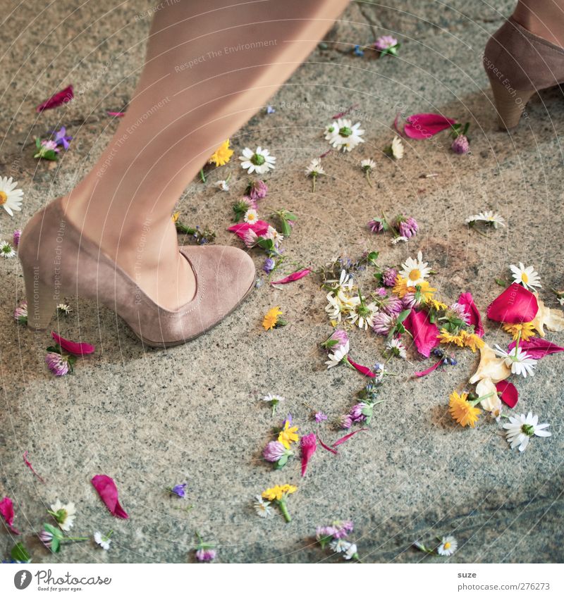 Zweites Blütenstandbein Dekoration & Verzierung Feste & Feiern Hochzeit Beine Fuß Schuhe laufen Kitsch Romantik Tradition Anlass Steinboden Boden Bodenbelag