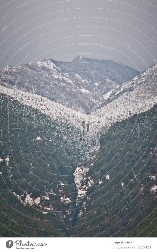 Schneetal Umwelt Natur Landschaft Pflanze Winter schlechtes Wetter Eis Frost Baum Wald Schneefallgrenze Berge u. Gebirge Schlucht China Yunnan kalt Klima
