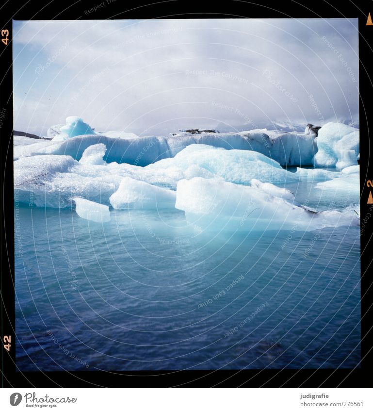 Island Umwelt Natur Landschaft Wasser Himmel Klima Klimawandel Eis Frost Gletscher See Jökulsárlón Schwimmen & Baden kalt natürlich wild blau Farbfoto