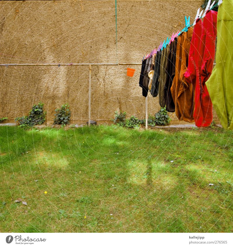 gewäsch Häusliches Leben Wohnung Haus Garten Wiese Mode Strümpfe hängen Wäsche Wäscheleine Haushalt Wäscheklammern trocknen Sauberkeit Ordnung Eimer Hinterhof