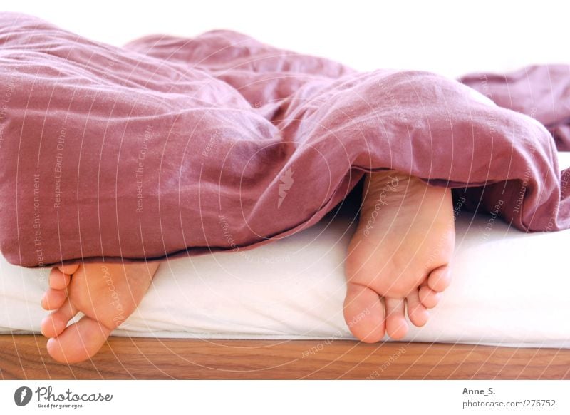 Verschlafen Erholung ruhig Wohnung Bett Schlafzimmer maskulin Mann Erwachsene Fuß 1 Mensch kaputt nackt braun Geborgenheit Warmherzigkeit Müdigkeit Erschöpfung