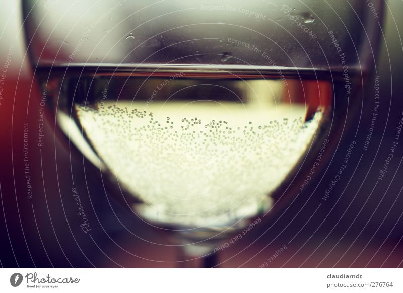 Vino Getränk Wein Glas trinken lecker Weinglas genießen sprudelnd Kohlensäure Luftblase Reflexion & Spiegelung Unschärfe Flüssigkeit Farbfoto Innenaufnahme