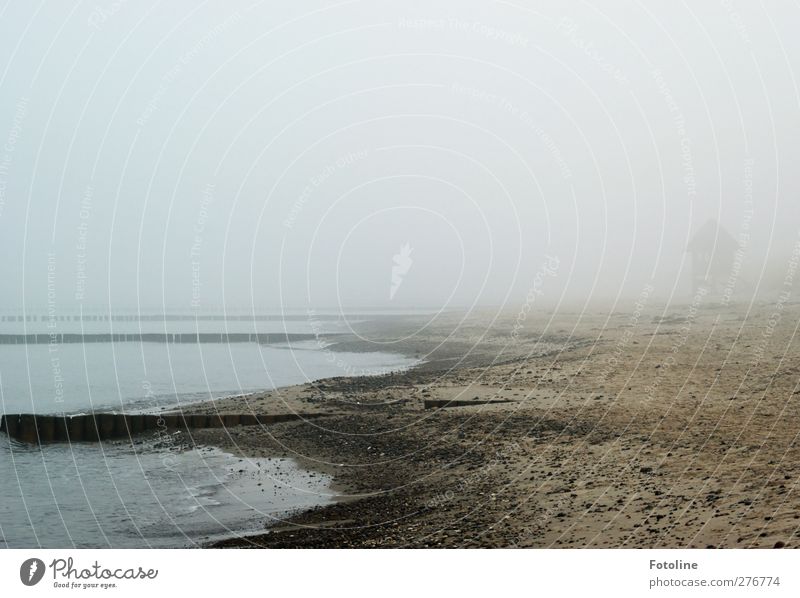 Was sich im Nebel wohl verbirgt? Natur Landschaft Urelemente Erde Sand Wasser Himmel Herbst Küste Strand Ostsee Meer bedrohlich dunkel nass natürlich grau