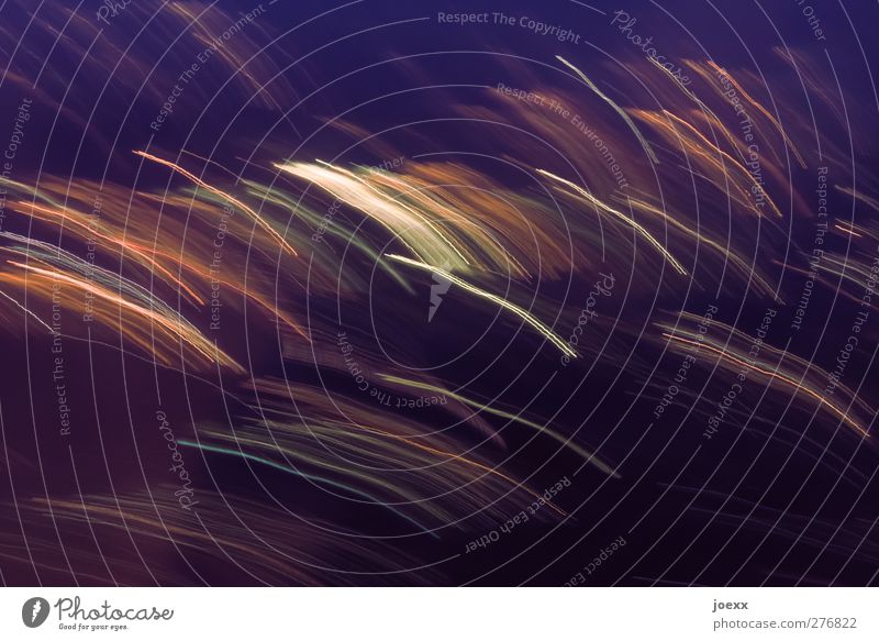 Streiflichter Design Bewegung gelb orange schwarz weiß chaotisch Energie Farbe Lichtstreifen Bogen Farbfoto mehrfarbig Experiment Muster Menschenleer Kontrast