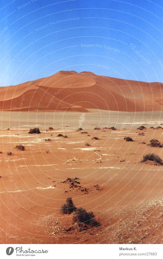 Sossusvlei Namibia trocken Physik heiß rot Einsamkeit ruhig München Wüste Sand Stranddüne Durst Wärme karg