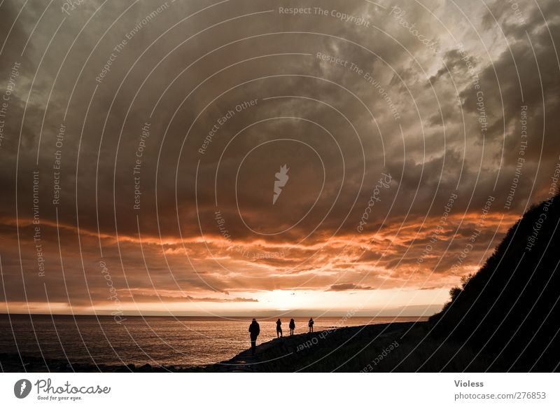 Hiddensee | ..die Gefährten Himmel Wolken Sonnenaufgang Sonnenuntergang Frühling Wetter Küste Ostsee Insel entdecken Erholung außergewöhnlich bedrohlich